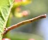 359249 – Photo : Liliane Delattre – France (30)